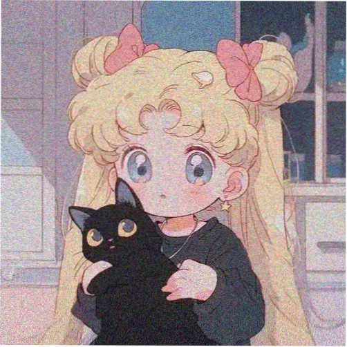 笨笨电影网剧作栏目主理头像